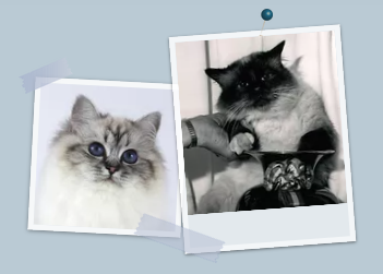 2021-08-29 13_45_08-Window.png